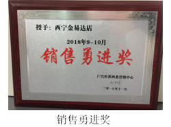 销售勇进奖